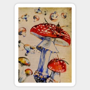 Fly agaric amanita muscara mushroom vintage dictionary print design Sticker